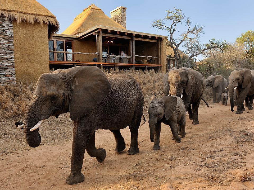 Jabulani Safari Vila Kapama Game Reserve Exterior foto