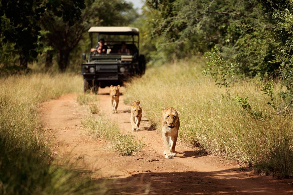 Jabulani Safari Vila Kapama Game Reserve Exterior foto